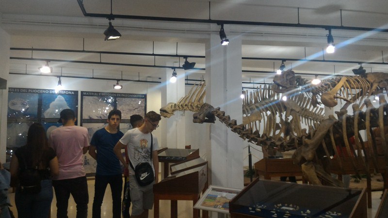 P 20170405 110301 [1600x1200]